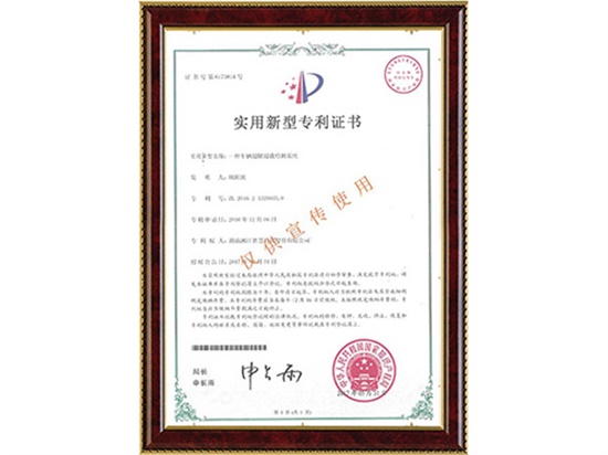 一种车辆超限超载检测系统实用新型专利